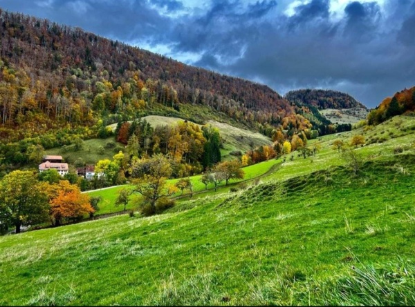 Bergwirtschaft Dürstel